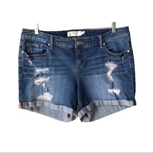 Torrid distressed short shorts 16 roll hem